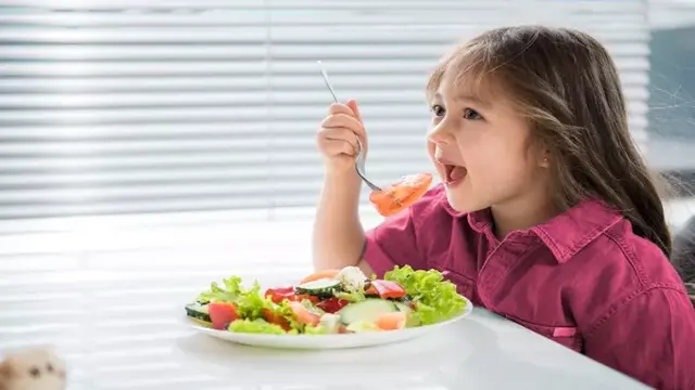 Kriteria Makanan Sehat dan Bergizi